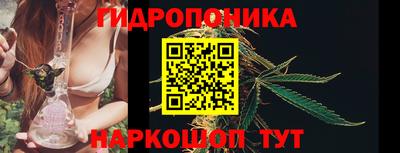 скорость Пугачёв