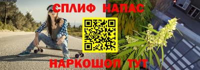 скорость Пугачёв
