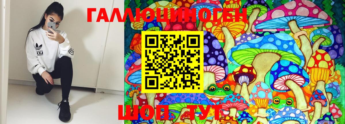 Галлюциногенные грибы Magic Shrooms Удомля
